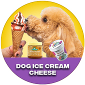 Dog Ice Cream Cheese
