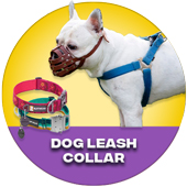 Dog Leash Collar
