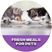 Fresh Meals For Pets