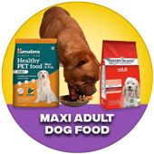 Maxi Adult Dog Food