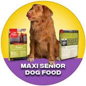 Maxi Senior Dog food