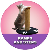 Ramps and Steps
