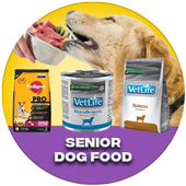 Senior Dog Food